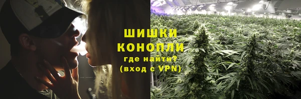 молекула духа Вязники
