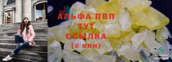 молекула духа Вязники