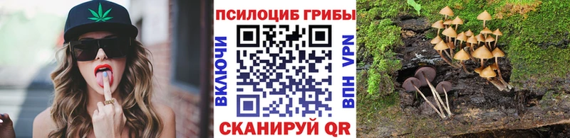 Купить где  Буйнакск  Псилоцибиновые грибы GOLDEN TEACHER 